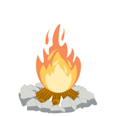 Fire burns wood fiery flame bright fireball flames of different shapes