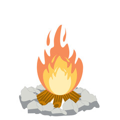 Fire burns wood fiery flame bright fireball flames of different shapes