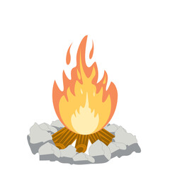 Fire burns wood fiery flame bright fireball flames of different shapes