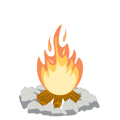 Fire burns wood fiery flame bright fireball flames of different shapes