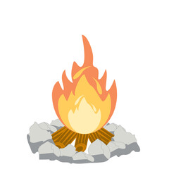 Fire burns wood fiery flame bright fireball flames of different shapes