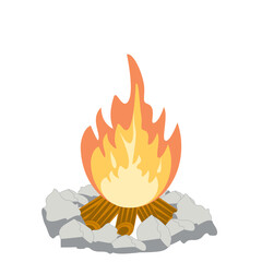 Fire burns wood fiery flame bright fireball flames of different shapes