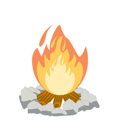 Fire burns wood fiery flame bright fireball flames of different shapes