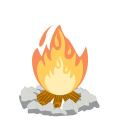 Fire burns wood fiery flame bright fireball flames of different shapes