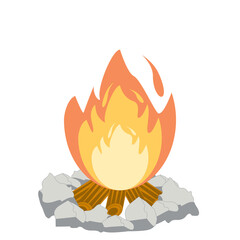 Fire burns wood fiery flame bright fireball flames of different shapes