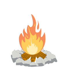 Fire burns wood fiery flame bright fireball flames of different shapes