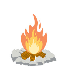 Fire burns wood fiery flame bright fireball flames of different shapes