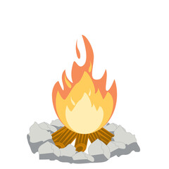 Fire burns wood fiery flame bright fireball flames of different shapes