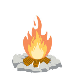 Fire burns wood fiery flame bright fireball flames of different shapes