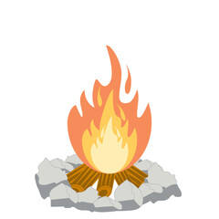 Fire burns wood fiery flame bright fireball flames of different shapes