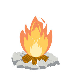 Fire burns wood fiery flame bright fireball flames of different shapes