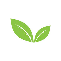 Logos of green Tree leaf ecology nature element vector