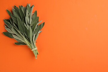 Bunch of fresh sage on orange background, top view. Space for text