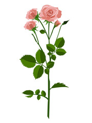 Fototapeta premium Beautiful rose flower tree plants vector illustration design element