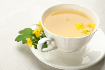Cup of aromatic celandine tea and flowers on grey table, closeup