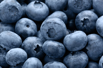 Tasty fresh ripe blueberries as background, closeup