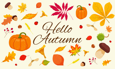 Cute set of autumn leaves, mushrooms, berries, nuts and acorns. Vector illustration of autumn seasonal elements.