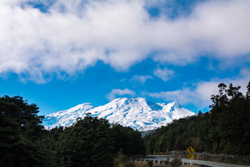Majestic snow blanketed peaks of Mount Ruapehu rising above dense forest of evergreen trees. Ohukune Mountain Road, North Island, New Zealand