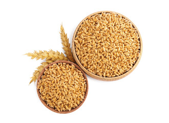 Wooden bowls with wheat grains and spikes on white background, top view