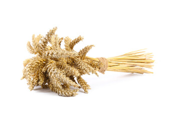 Bunch of dried wheat isolated on white