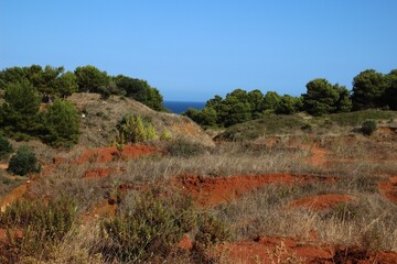 Italy, Lecce: View of the Salento countryside.