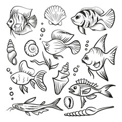 Fish and shells in doodle style. Vector set.