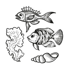 Fish, shells and seaweed in doodle style. Vector set.