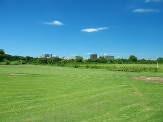 Fototapeta na wymiar 江戸川河川敷の除草された跡の残る真夏の野球場風景