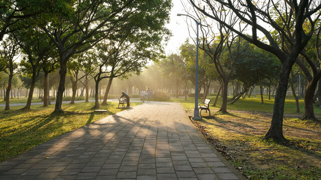 Morning Daan Salim Park scenery