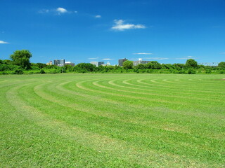江戸川河川敷の除草された跡の残る真夏の野球場風景