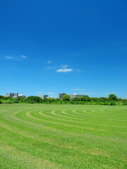 江戸川河川敷の除草された跡の残る真夏の野球場風景