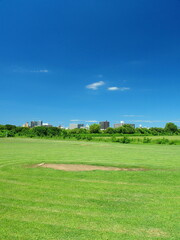 江戸川河川敷の除草された跡の残る真夏の野球場風景