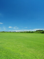 真夏の誰もいない江戸川河川敷の野球場風景