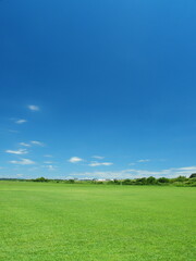 真夏の誰もいない江戸川河川敷の野球場風景