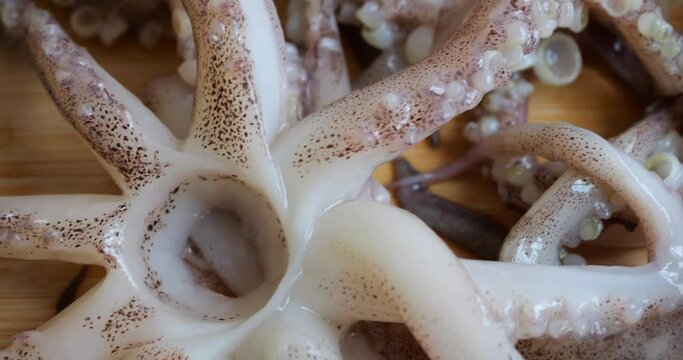 Tentacles with suction cups and carcass of raw squid on a cutting board. Fresh Seafood and Cooking.