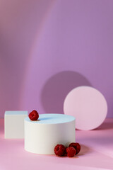 Background for Branding Round Geometric Podium and Raspberry Empty Platform for Product Advertising and Presentation Pink Background Shadow