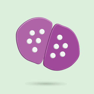 Purple lithop cactus illustration, nature theme