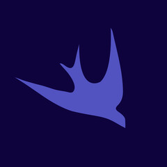 Bird logo. Flying wings, freedom concept. Beautiful animal silhouette isolated on dark background. Flight icon. Elegant style graphic illustration.