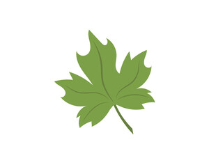 Fototapeta premium Vector image - maple leaf. Icon. Nature