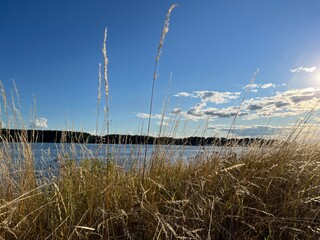 view of the Volga River. dry grass, summer