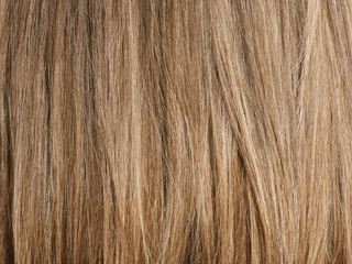 Hair coloring women close up texture background. Bunch of shiny straight blond hair in a wavy curved style. Copy space.