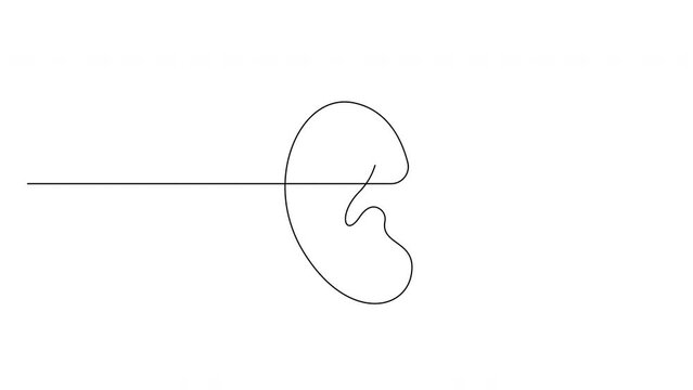 Ear self drawing animation with single continuous line. Concept of hearing and listening