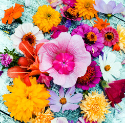 summer floral background with beautiful flowers