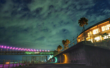 兵庫県立舞子公園と明石海峡大橋が見える夜景