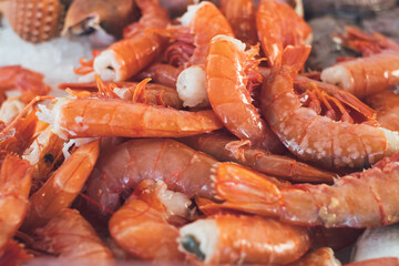 Fish market stall full of fresh Kvarner bay scampi (škampi) on Croatia island Mali Lošinj