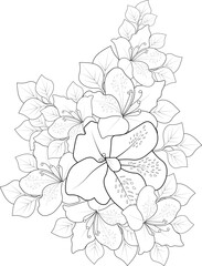 Hand drawn flowers vector, outline, blossom, evergreen azalea flower for adult coloring pages,
