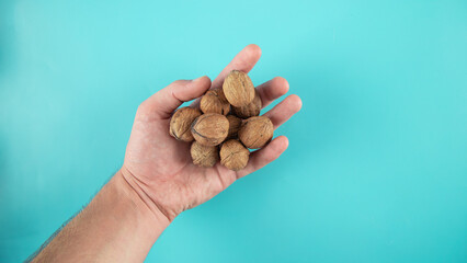 Closeup shot of  walnuts in a person's hand