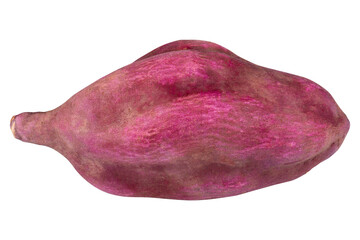 Sweet Potato close up isolated on alpha background.