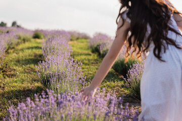 partial view of blurred brunette woman with long hair in field of flowering lavender.