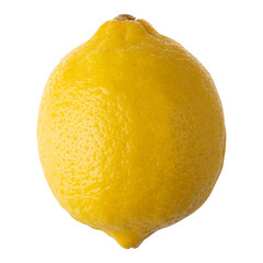 Lemon fruit isolated on alpha background